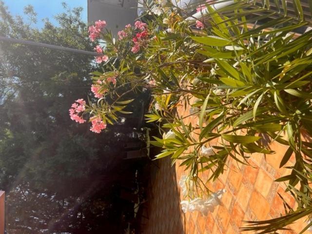 Hotel Paradise 洛泽内茨 外观 照片